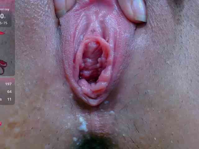 carolinasquirt18 webcam