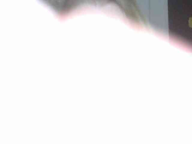 Kitty-Love27 Kitty-Love27