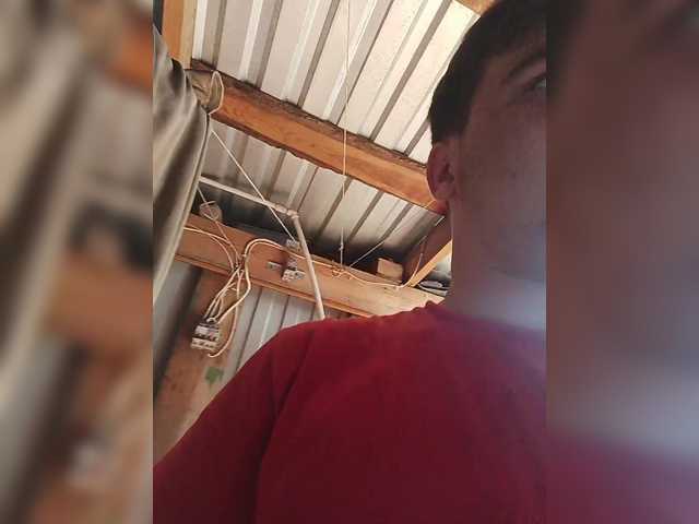 Dylon-69
