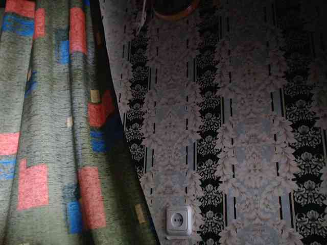 masik23231