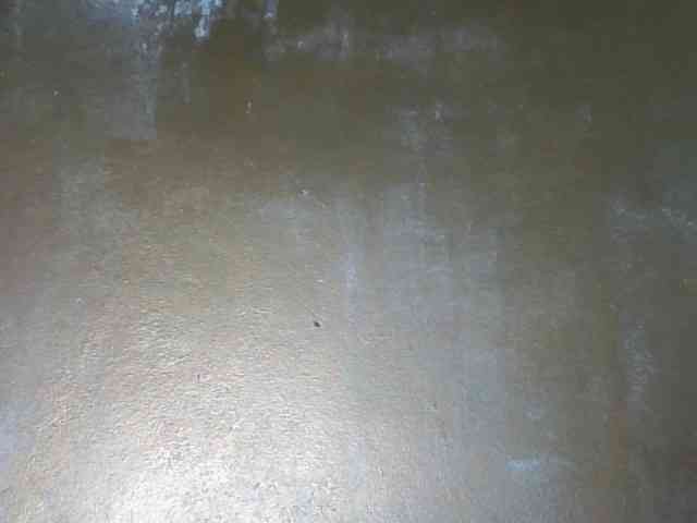 Selvidam webcam
