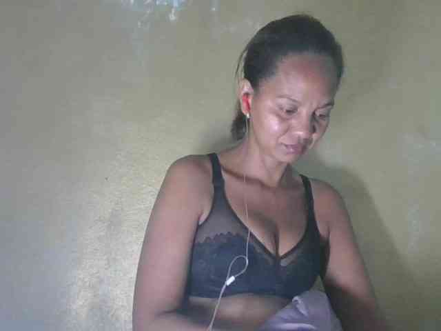 Selvidam webcam