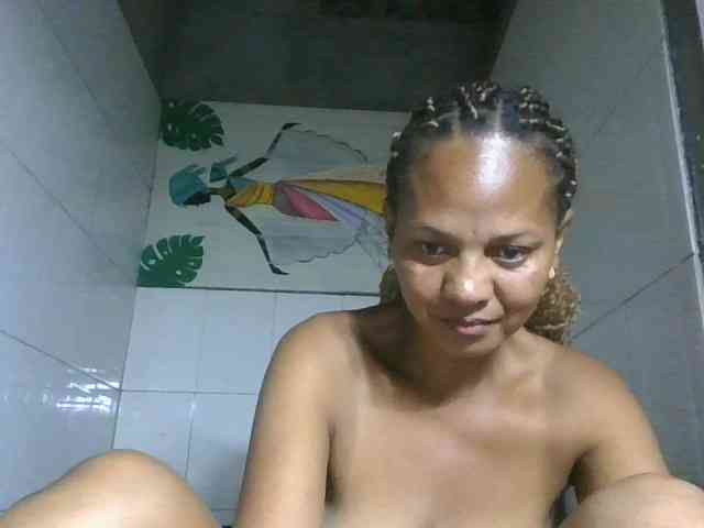 Selvidam webcam
