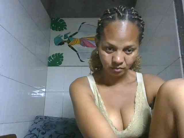 Selvidam webcam