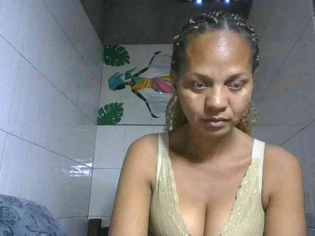 Selvidam webcam