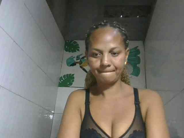 Selvidam webcam