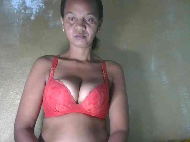 Selvidam webcam
