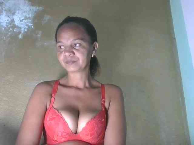 Selvidam webcam