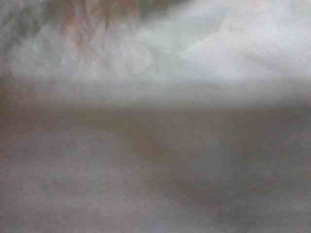 Selvidam webcam
