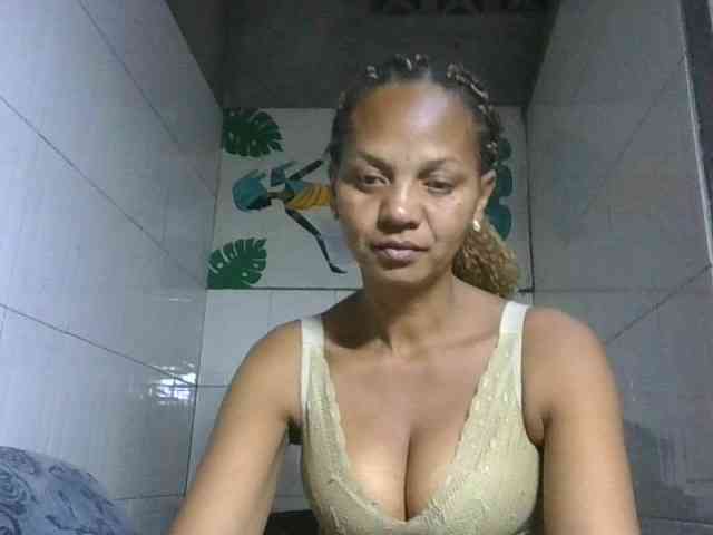 Selvidam webcam