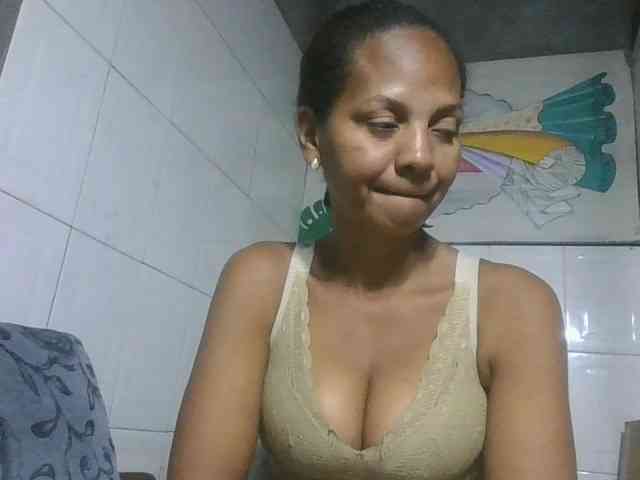 Selvidam webcam