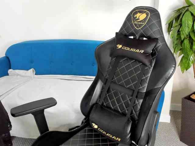 BagiraBBW webcam