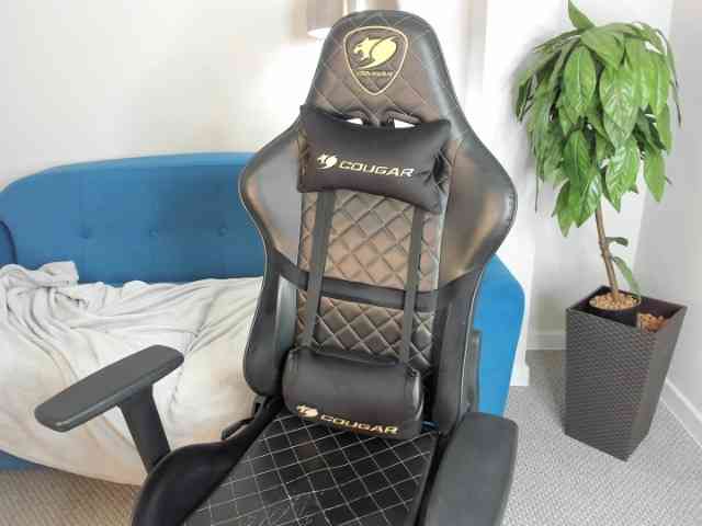BagiraBBW webcam