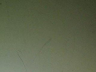 Geritsme Porn Show