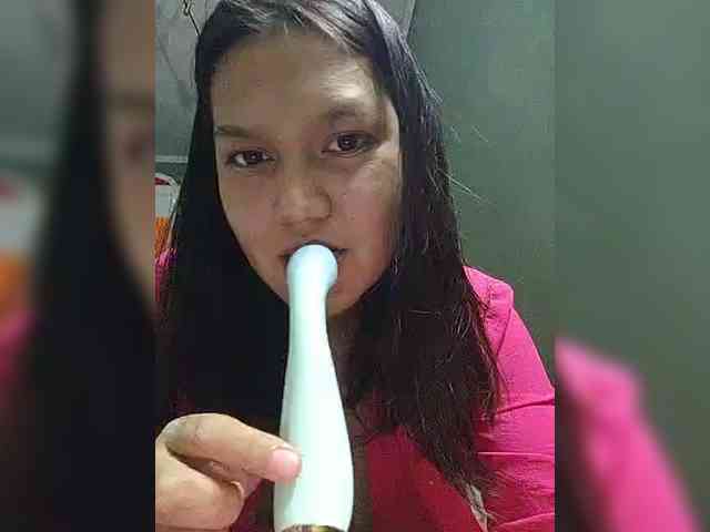 Geritsme webcam