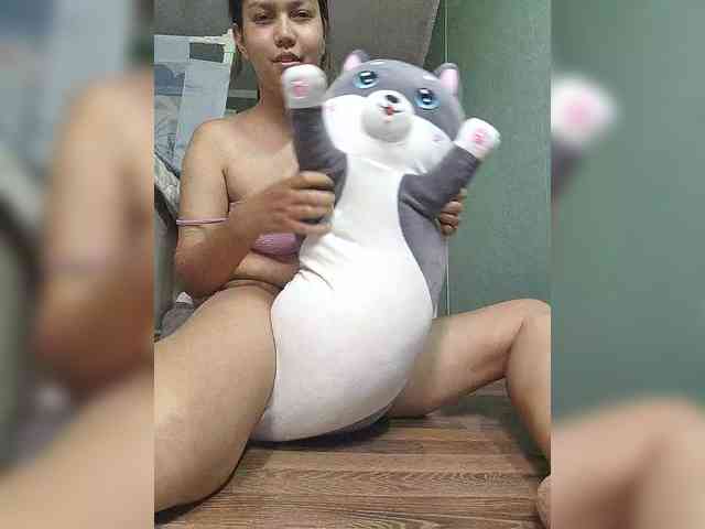 Geritsme webcam