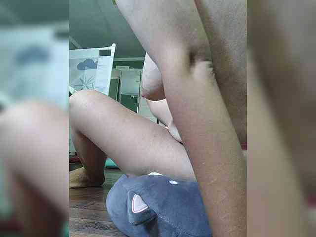Geritsme webcam