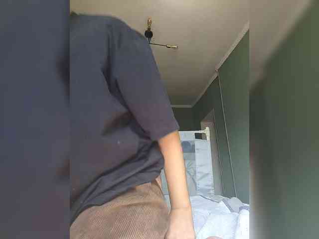 Geritsme webcam