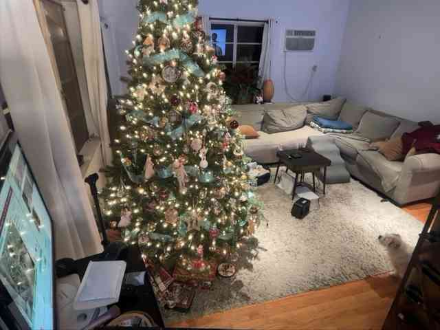 JackJakesonParty JackJakesonParty