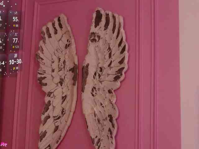 PinkySparkss webcam