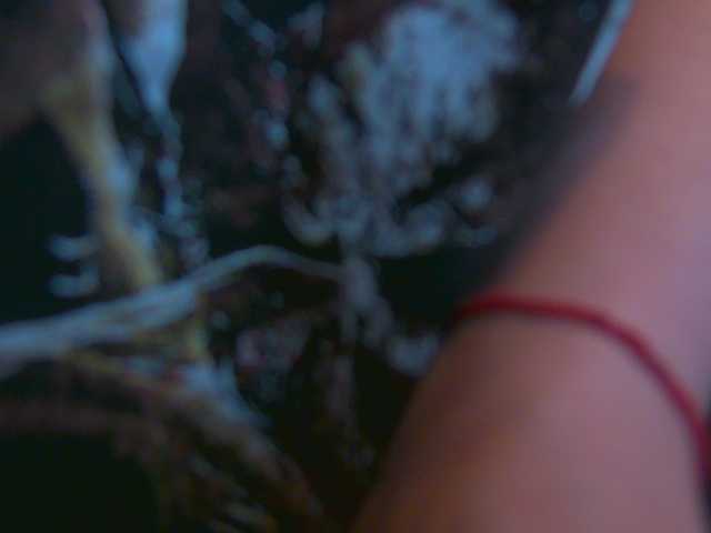 GuiltyKisses on BongaCams 