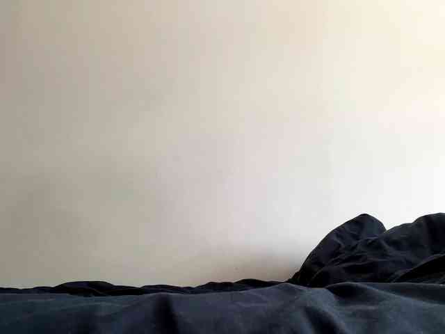 PixxieLi webcam