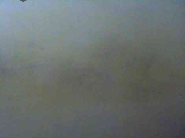 Reine2delice webcam