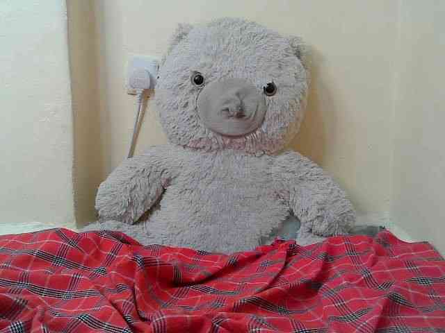 sweetdol2 webcam
