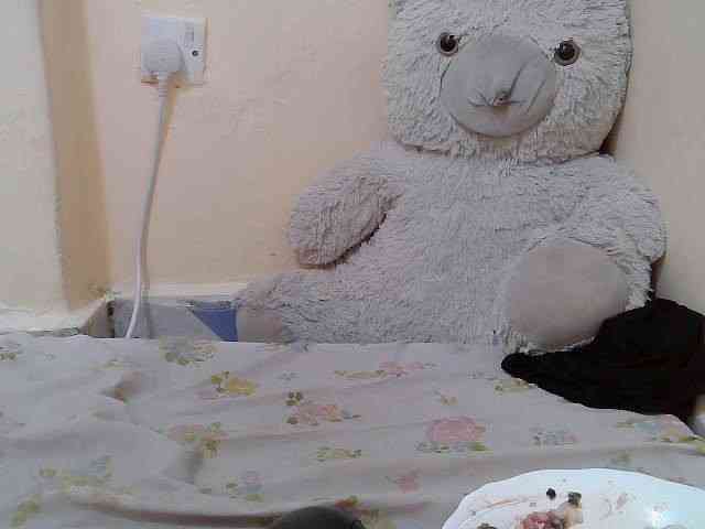 sweetdol2 webcam