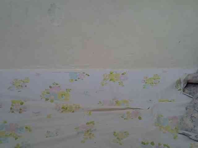 sweetdol2 webcam