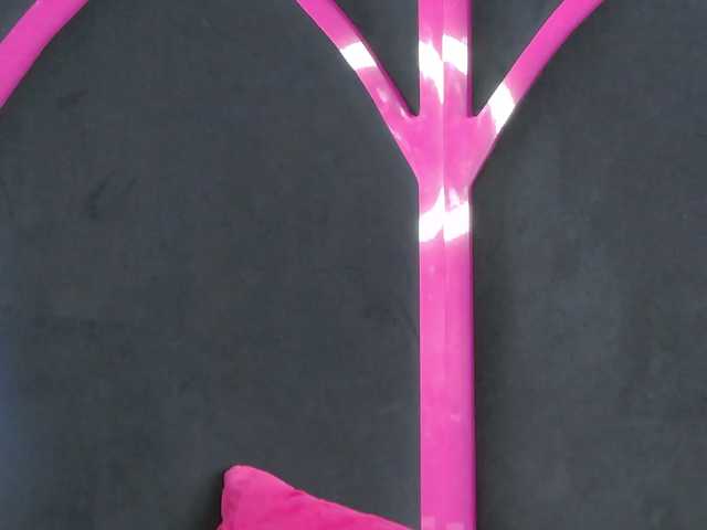 Evelisse's BongaCams show and profile