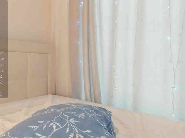 Diva-ice webcam