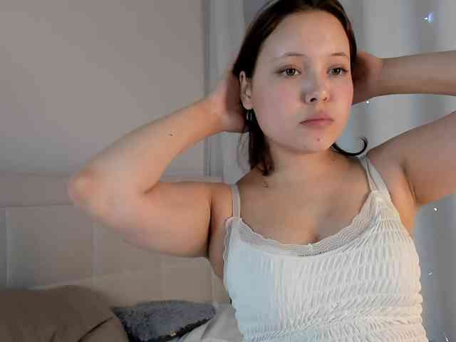 Diva-ice webcam