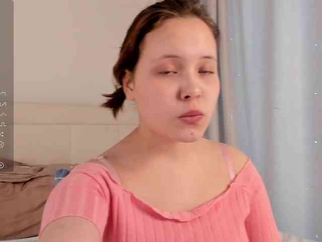 Diva-ice webcam