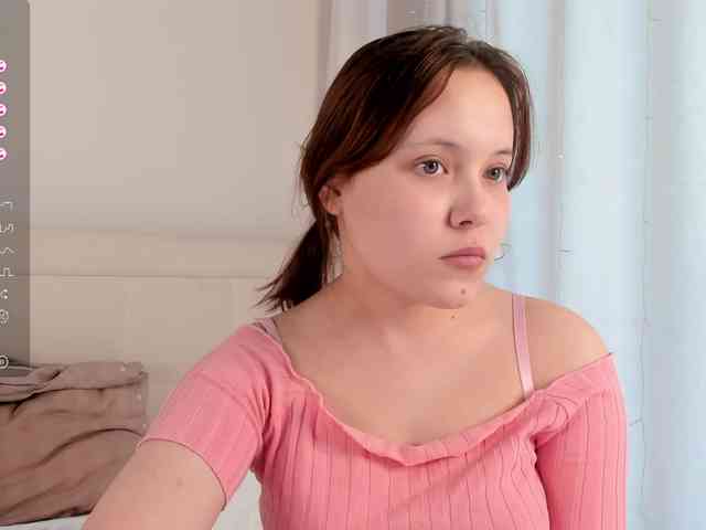 Diva-ice webcam