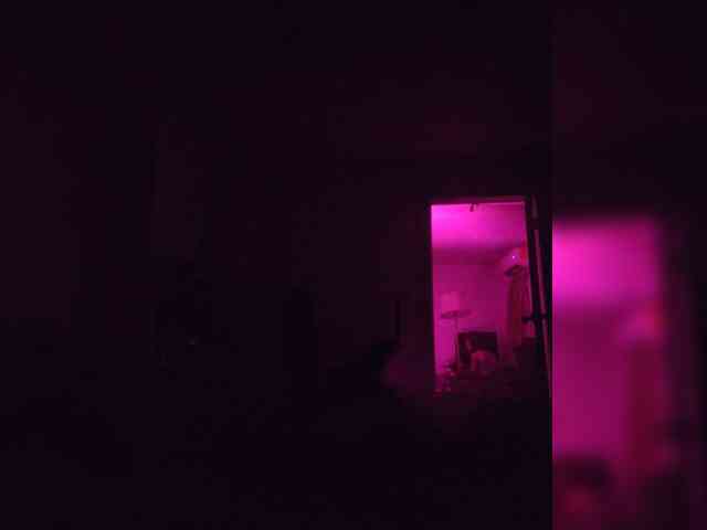 Uvelive webcam