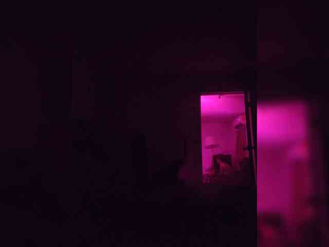 Uvelive webcam