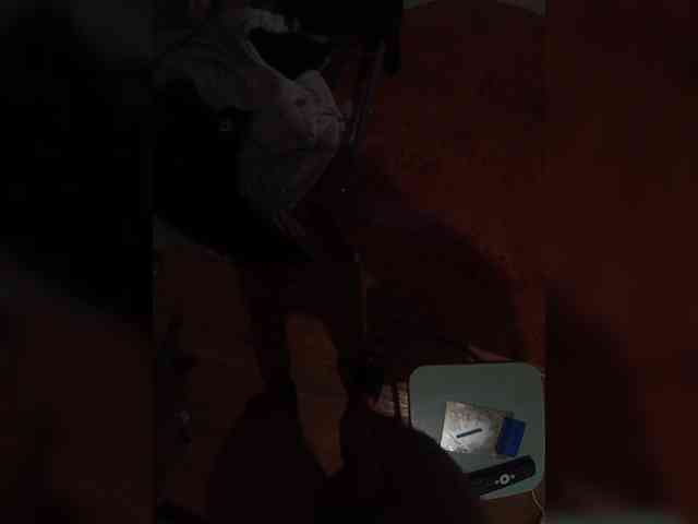 Bipara1 webcam