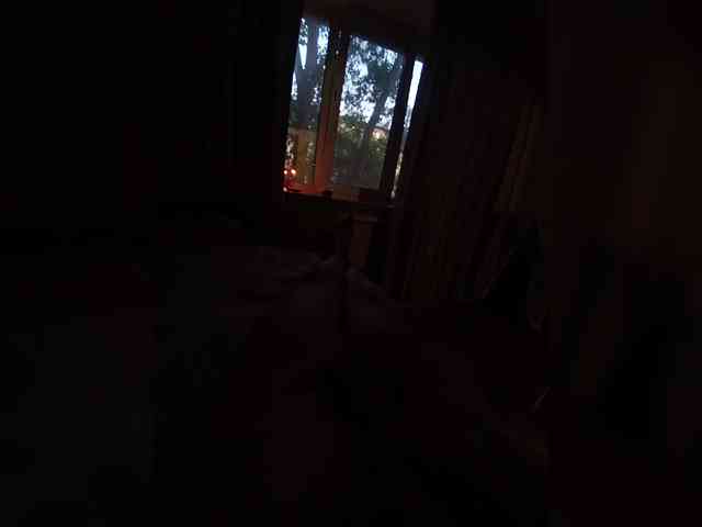 Bipara1 webcam