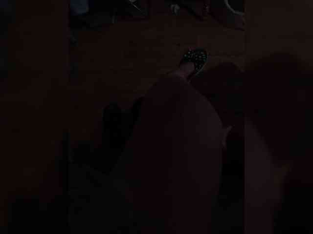 Bipara1 webcam