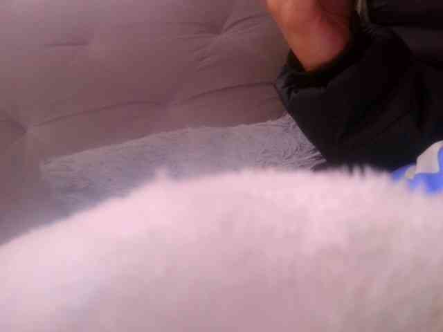 queenabril webcam