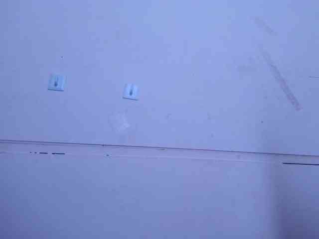 queenabril webcam
