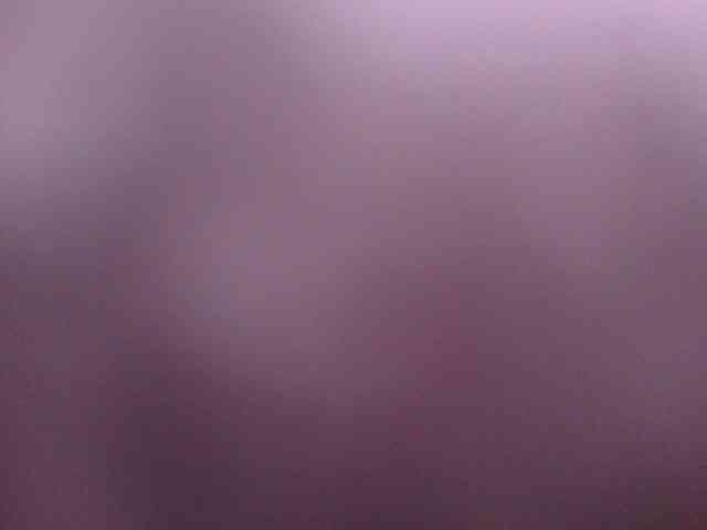 queenabril webcam