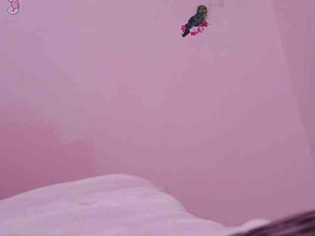 queenabril webcam