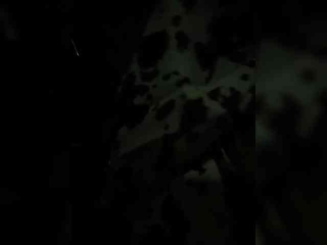 Rarini webcam