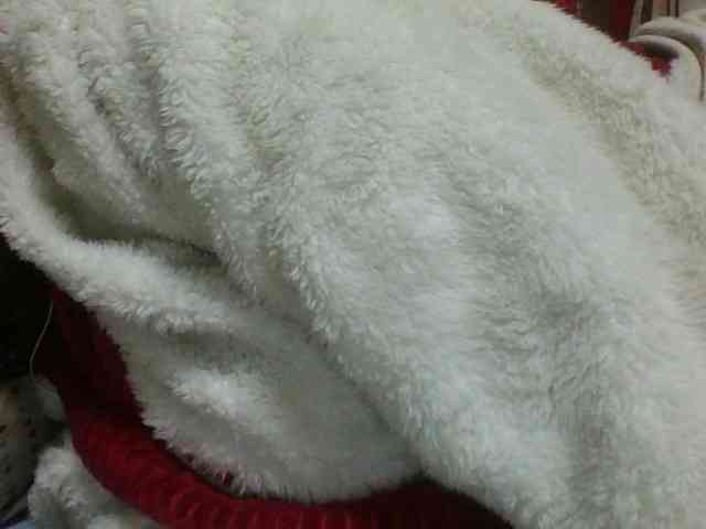 Kaysha12 webcam