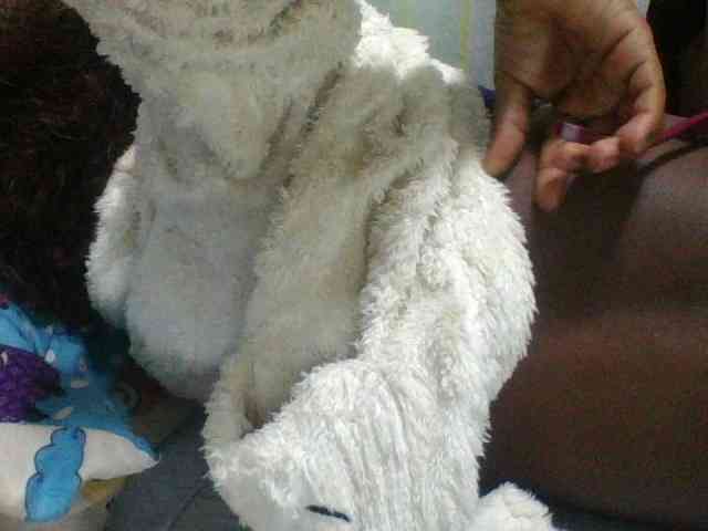 Kaysha12 webcam