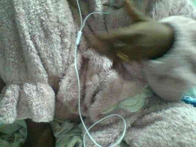 Kaysha12 webcam