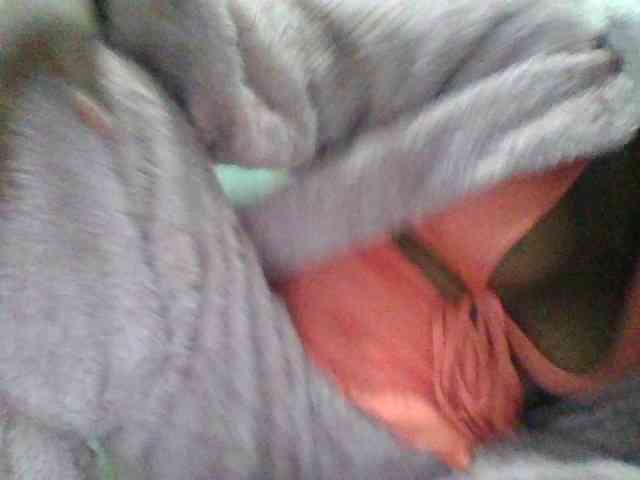 Kaysha12 webcam