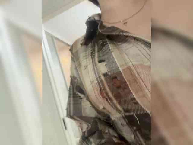 Angel-VICT0RY webcam